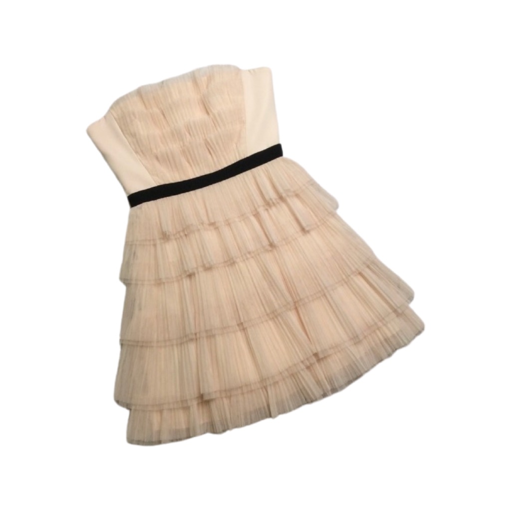 Bcbgmaxazria Rayna Strapless Pleated Dress Size 2